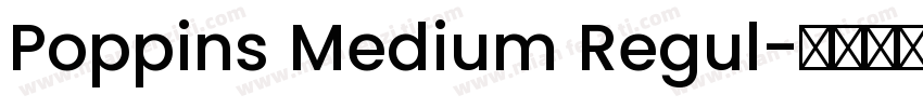 Poppins Medium Regul字体转换